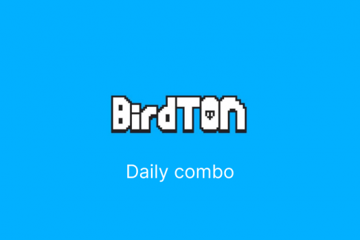 Комбо карты Bird Ton на сегодня 5 января 2025