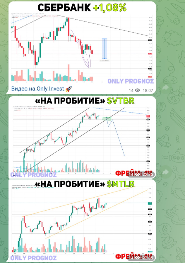 онли прогноз
