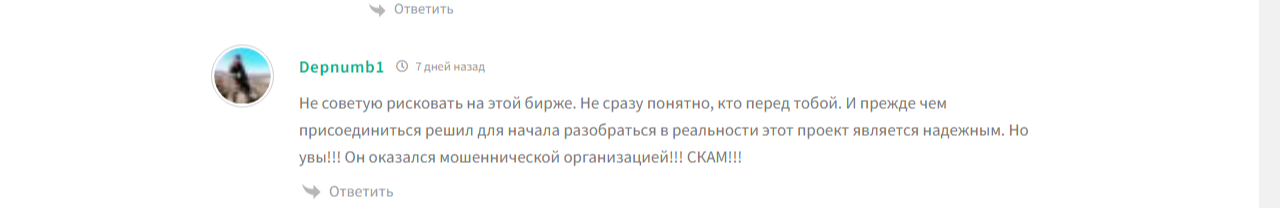 piljy отзывы