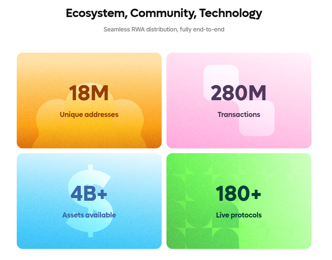 plume network