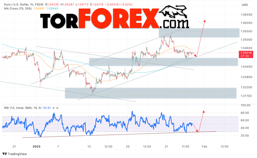 Прогноз Евро Доллар EUR/USD на 31 января 2025