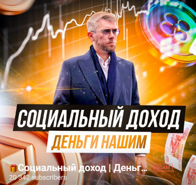 Социальный Доход Деньги Нашим