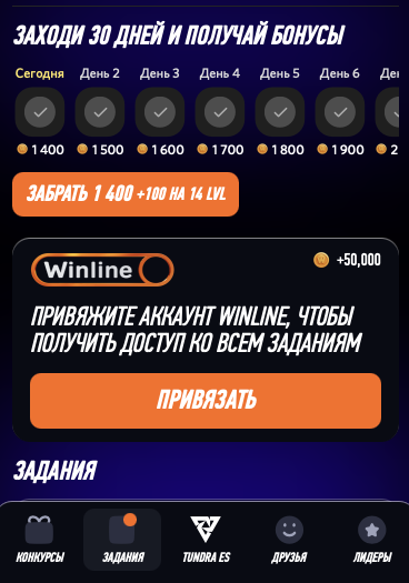 винплей