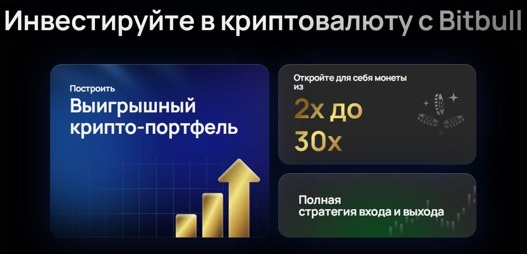 bitbull