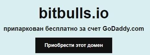 bitbull in