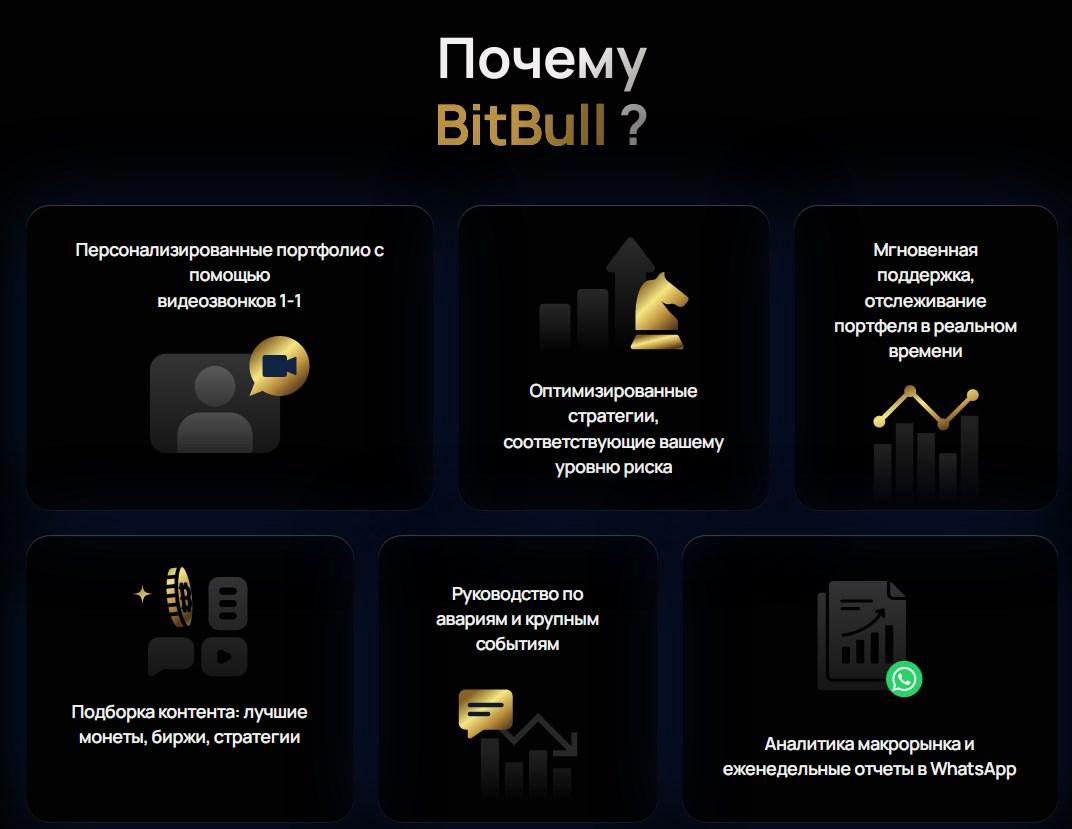 bitbull трейдер