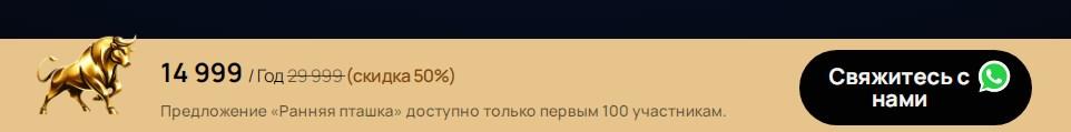 bitbulls io bitbulls io