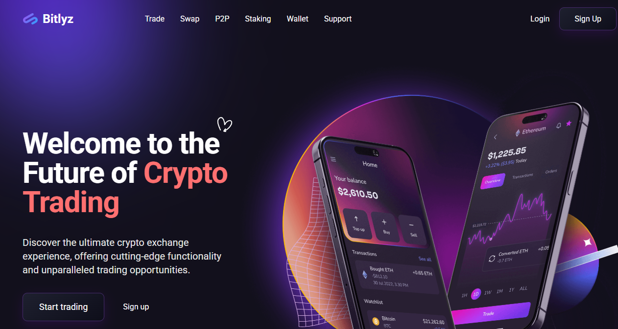 bitlyz com