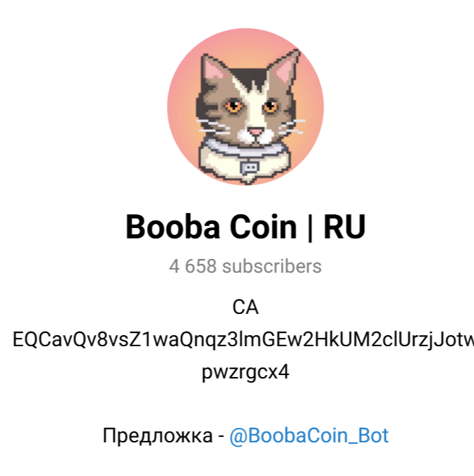 booba coin курс