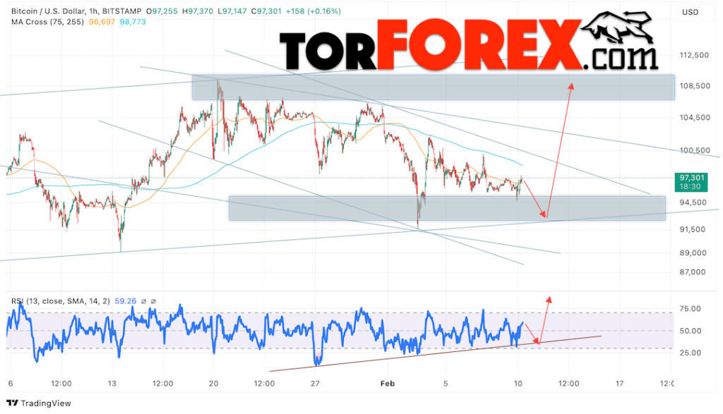 BTC/USD прогноз курса Биткоина на 11 февраля 2025