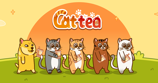 Cattea комбо дня