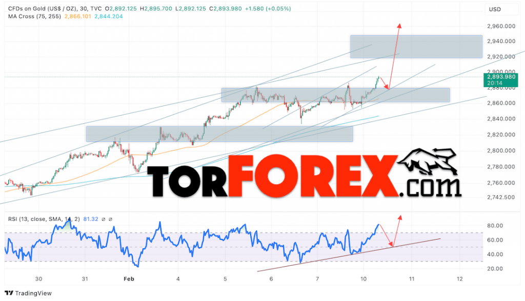 Цена Золота прогноз XAU/USD на 11 февраля 2025