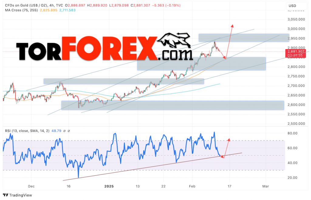 Цена Золота прогноз XAU/USD на 13 февраля 2025