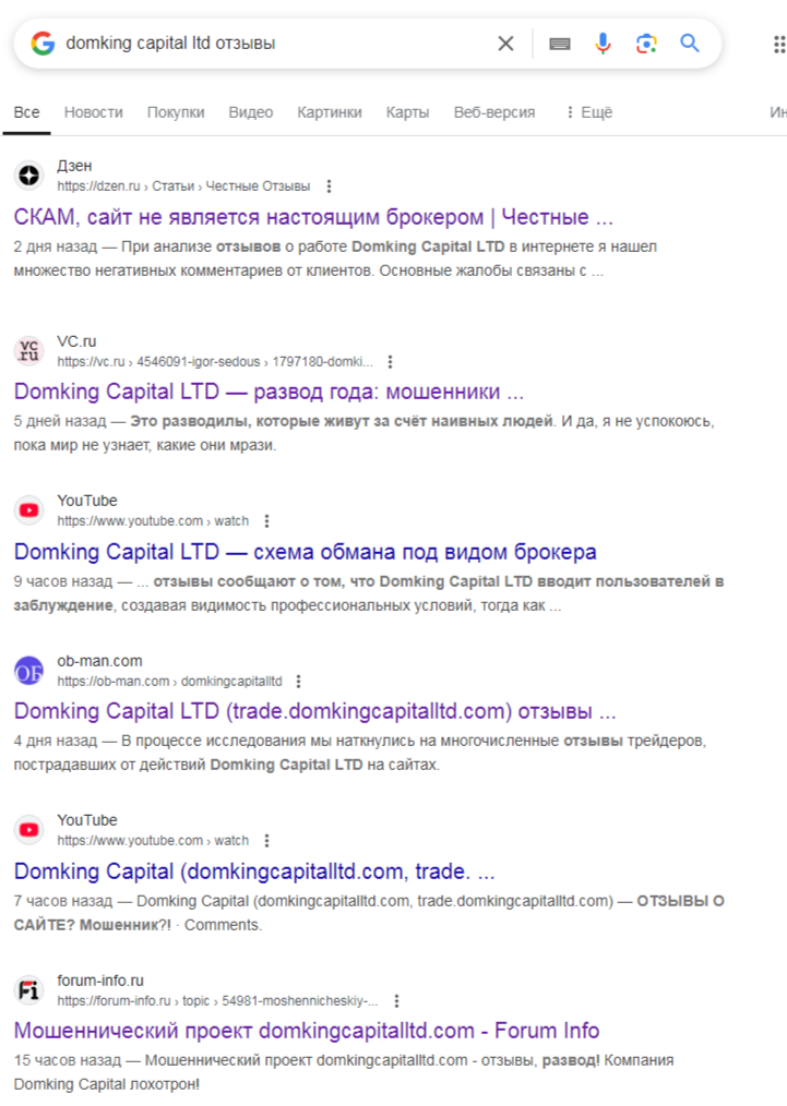 domking capital ltd