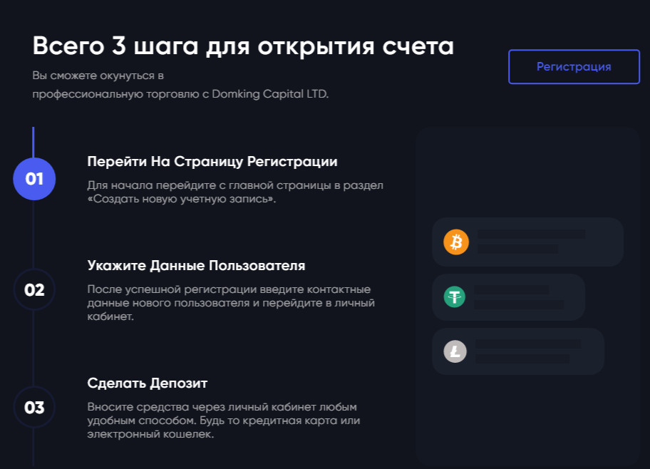 domking capital ltd отзывы