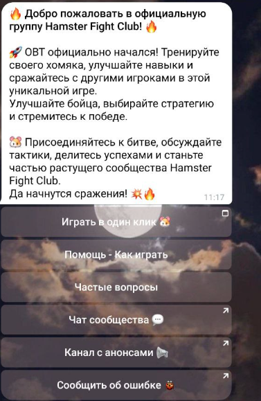 хамстер файт клуб