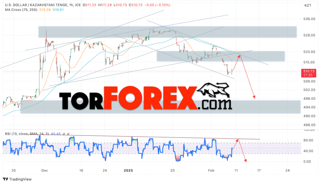 Курс Тенге прогноз на сегодня 11 февраля 2025