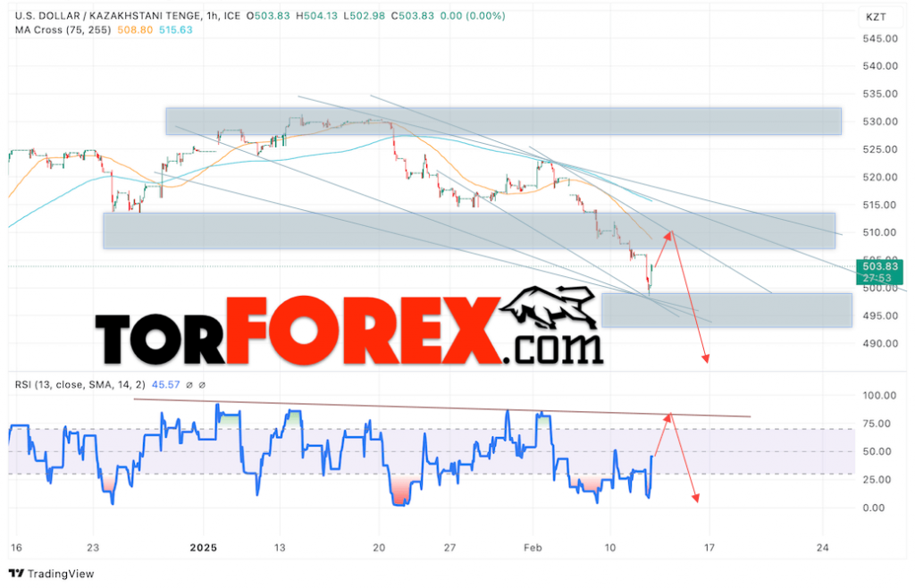 Курс Тенге прогноз на сегодня 13 февраля 2025