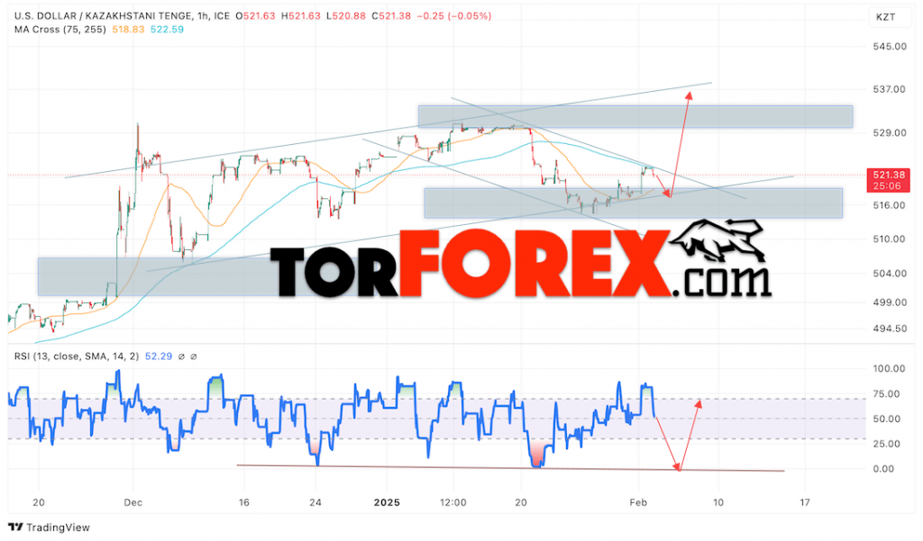Курс Тенге прогноз на сегодня 5 февраля 2025