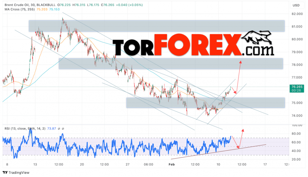 Нефть прогноз цены Brent на 12 февраля 2025