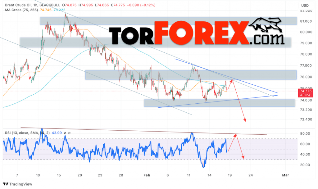 Нефть прогноз цены Brent на 19 февраля 2025