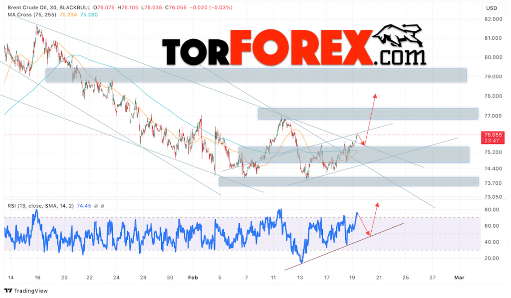 Нефть прогноз цены Brent на 20 февраля 2025