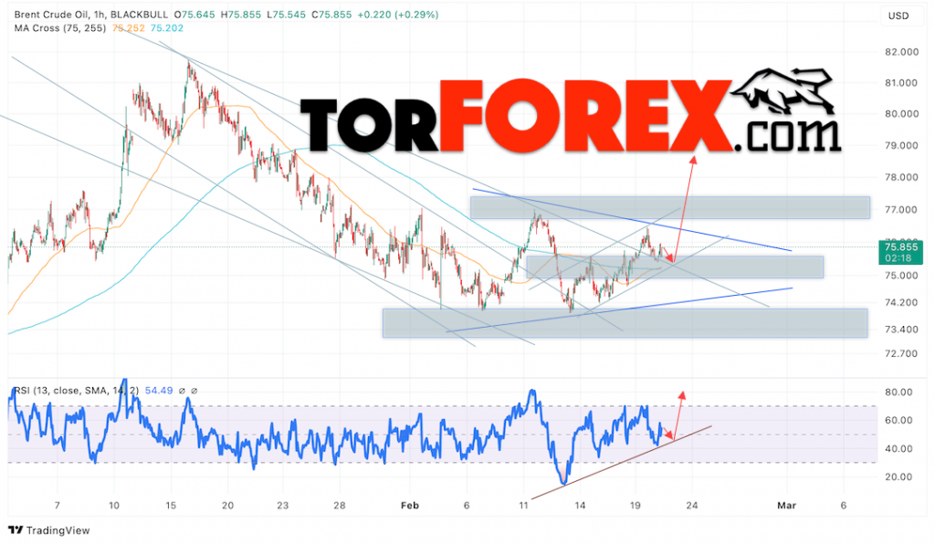 Нефть прогноз цены Brent на 21 февраля 2025