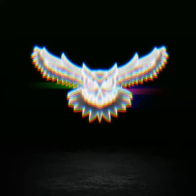 Owl in Trade