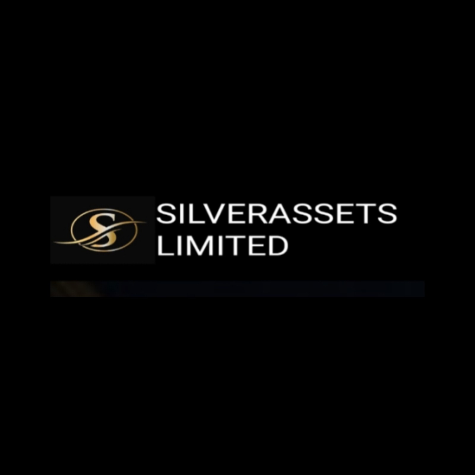 Silverassetslimited.live Llc