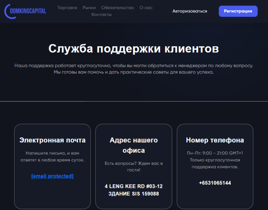 support domking capital com