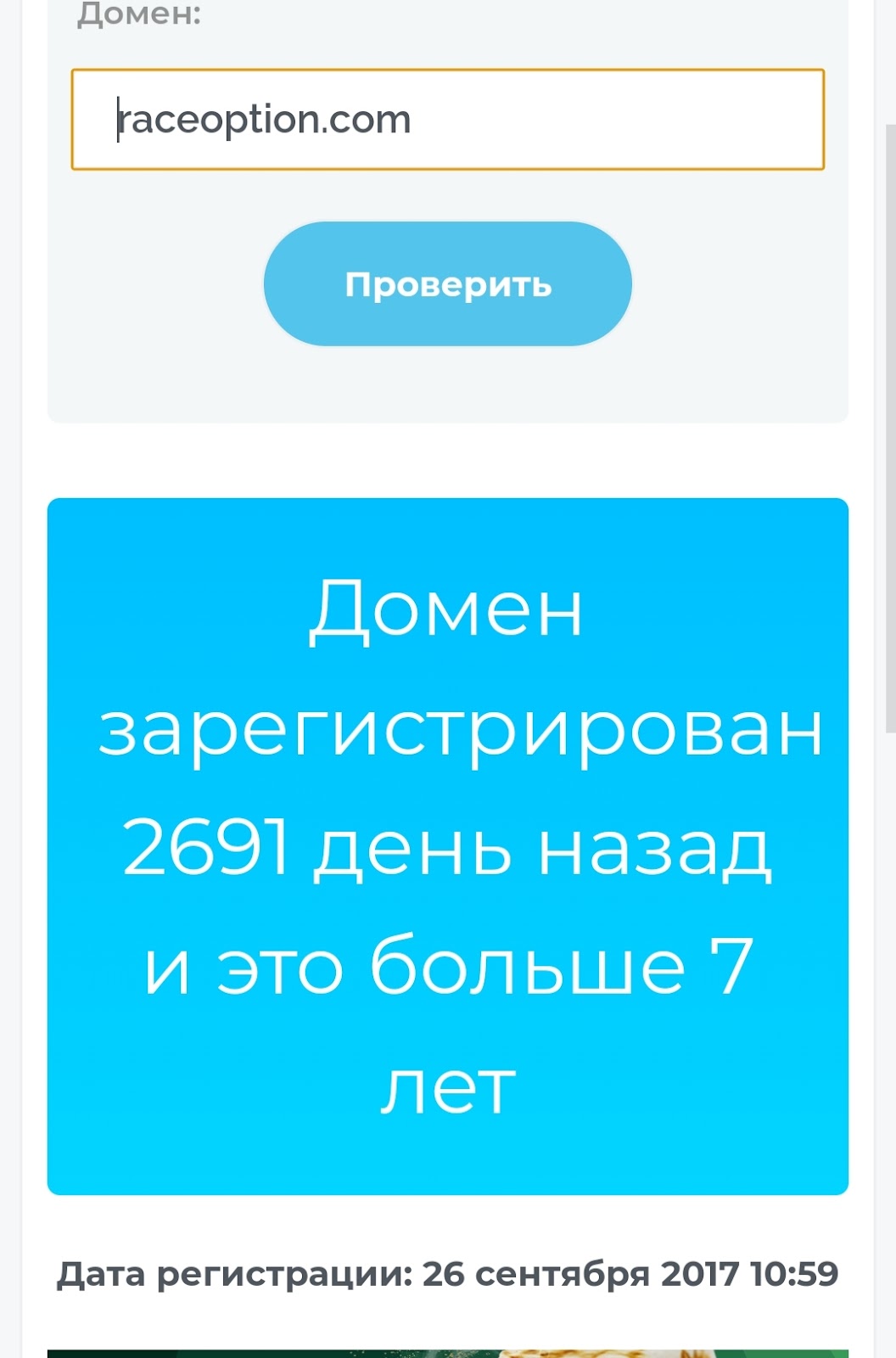 support RaceOption com