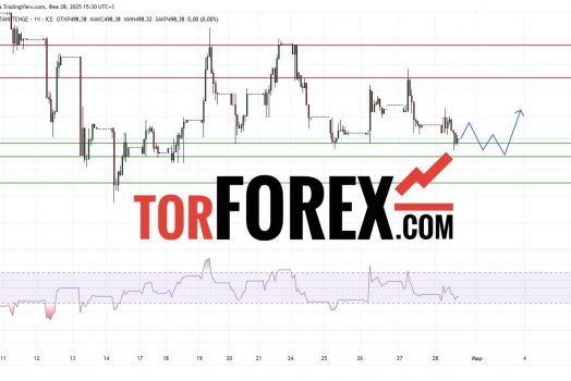 Прогноз Доллар Тенге USD/KZT на 28 февраля 2025