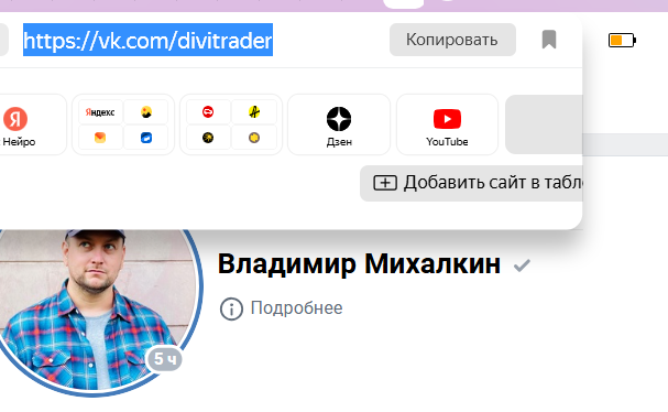 владимир михалкин инвестиции
