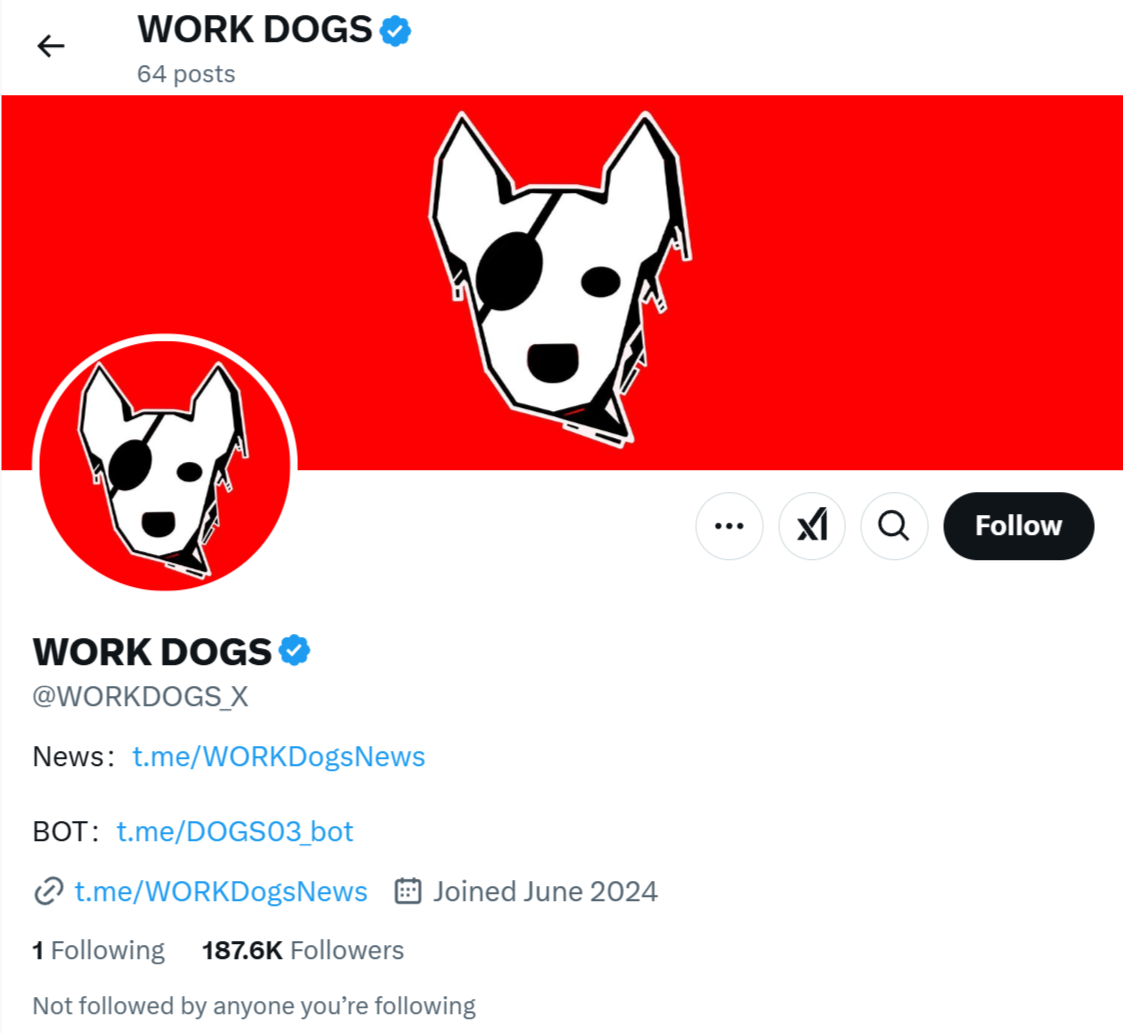 workdogs криптовалюта