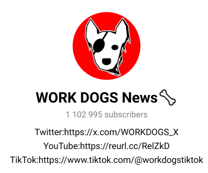 workdogsnews