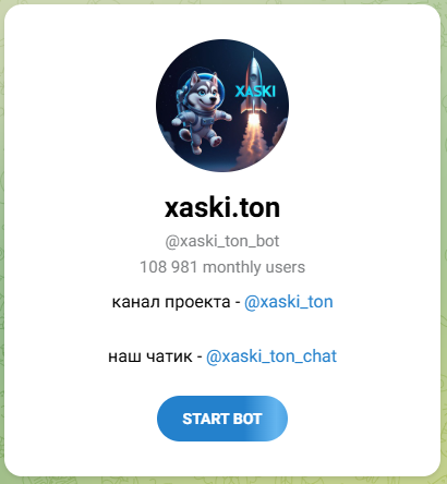 xaski ton chat