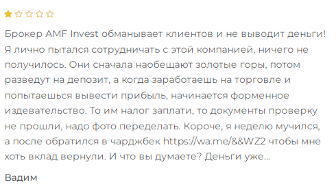 амф инвест