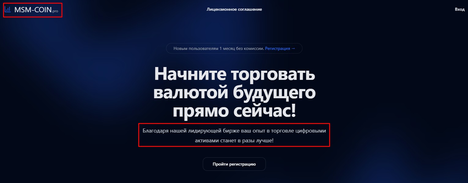 msm coin отзывы