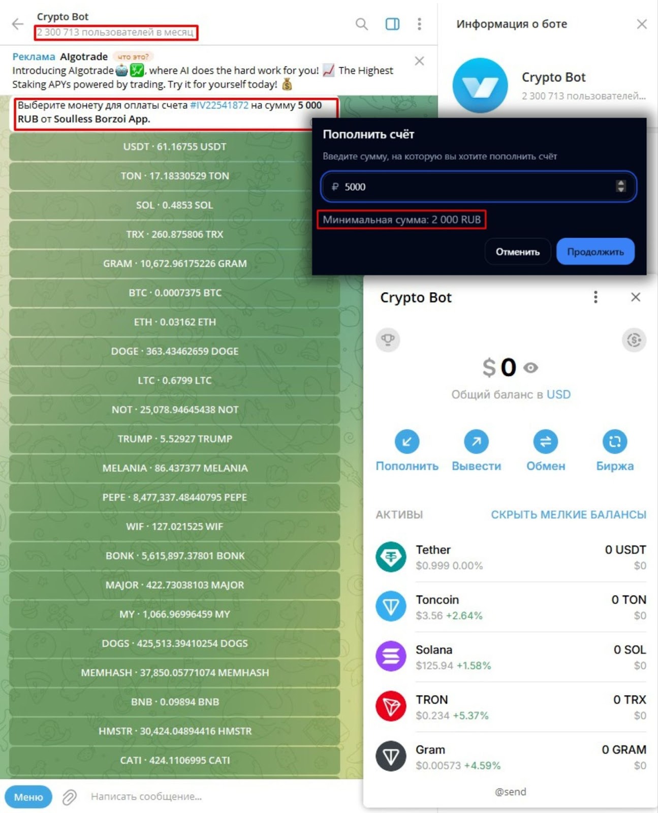 msm coin отзывы