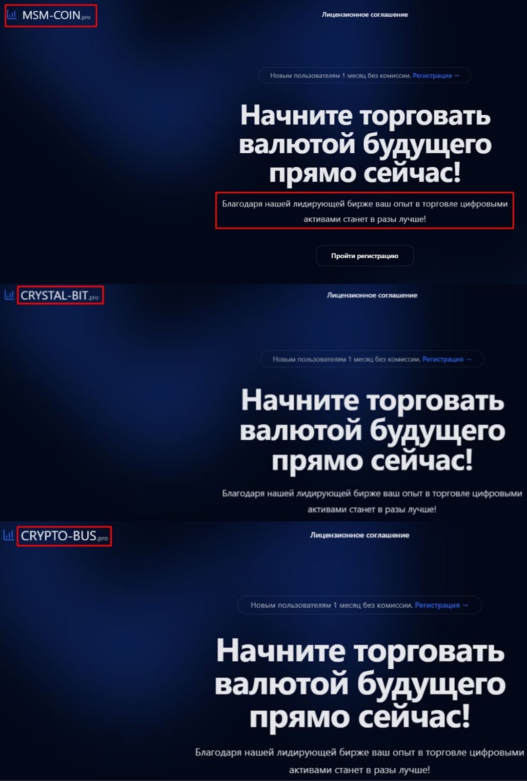 msm coin pro отзывы
