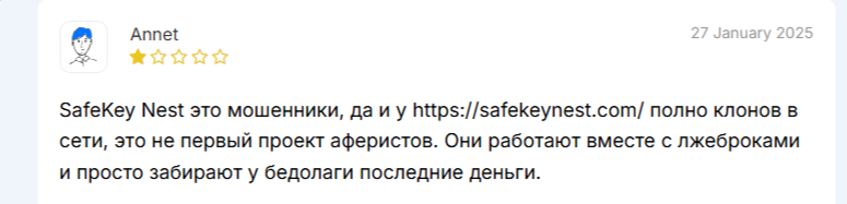 safekeynest отзывы