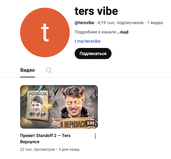 стример tersvibe