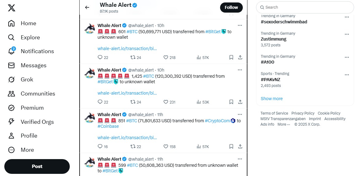 whale alert как пользоваться