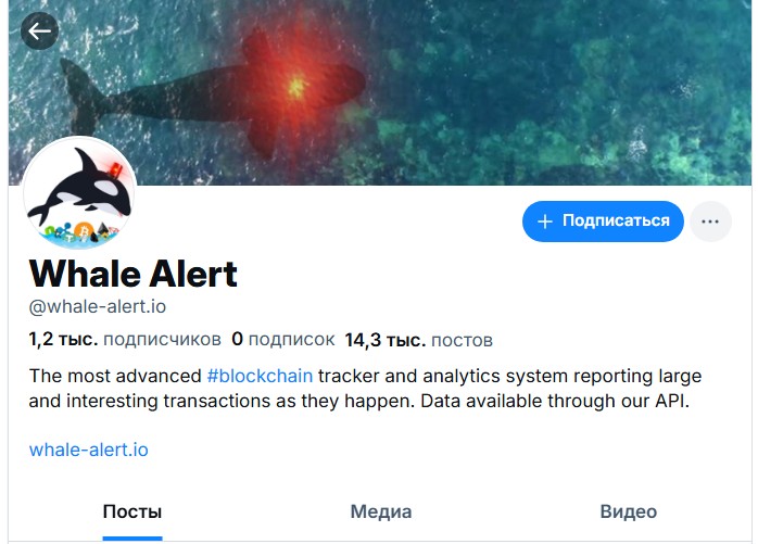 whale alert отзывы