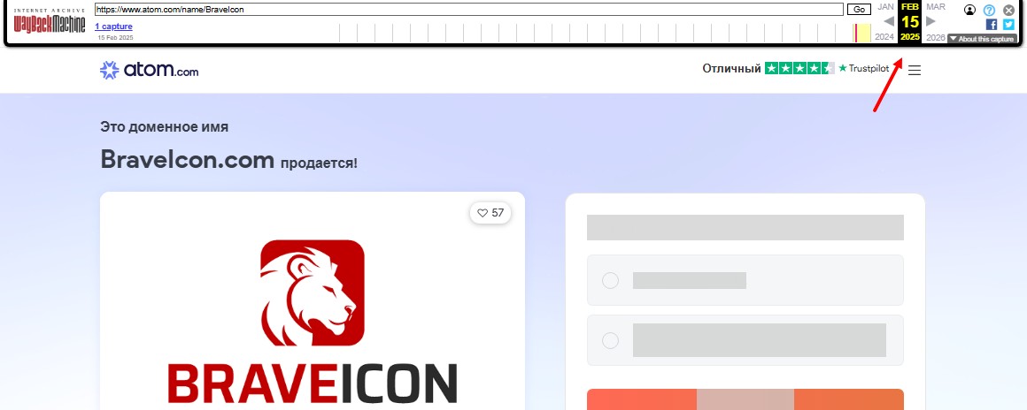 braveicon отзывы