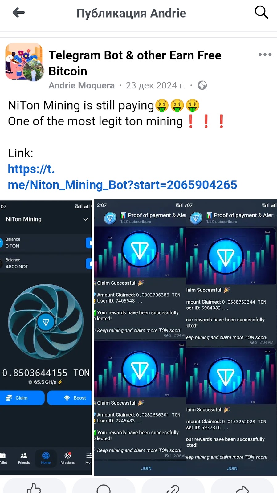 niton mining