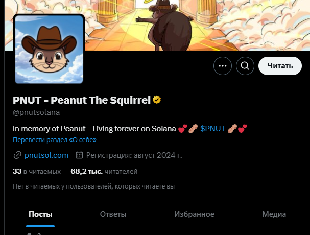 pnut токен