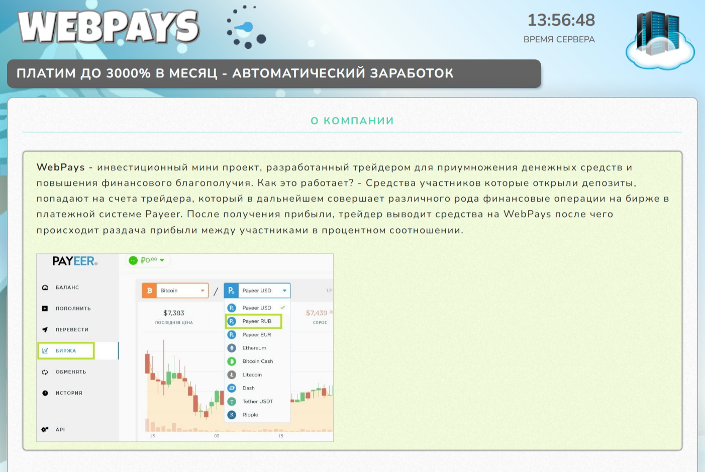 webpays fun майнинг отзывы