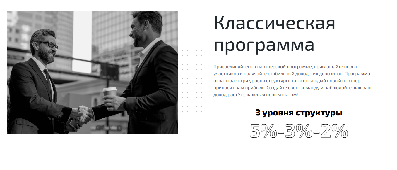 white lion investments limited