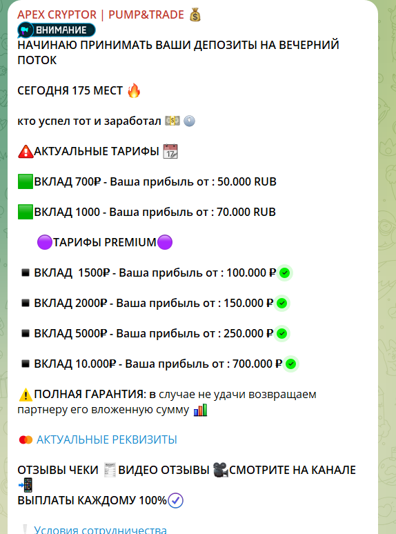 alexndr cryptus тг